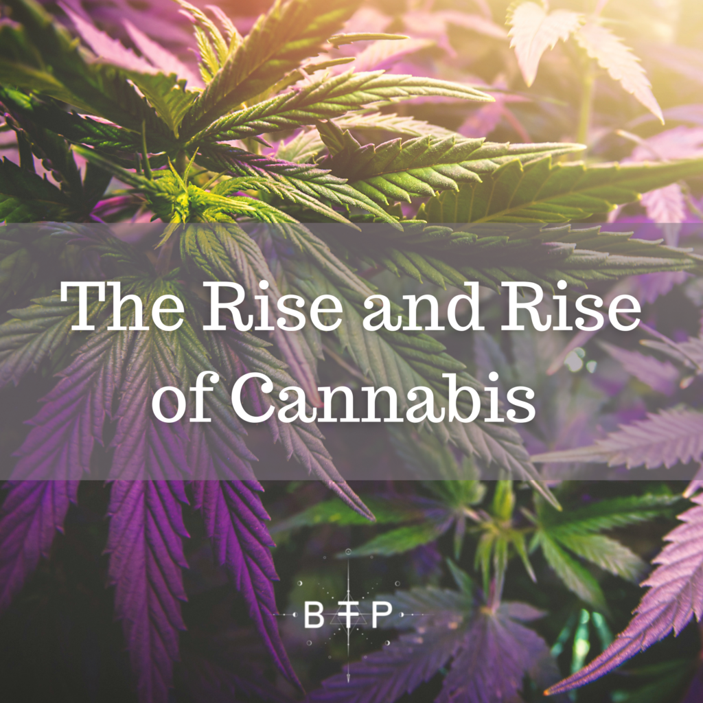 The Rise And Rise Of Cannabis Beyond The Polaris